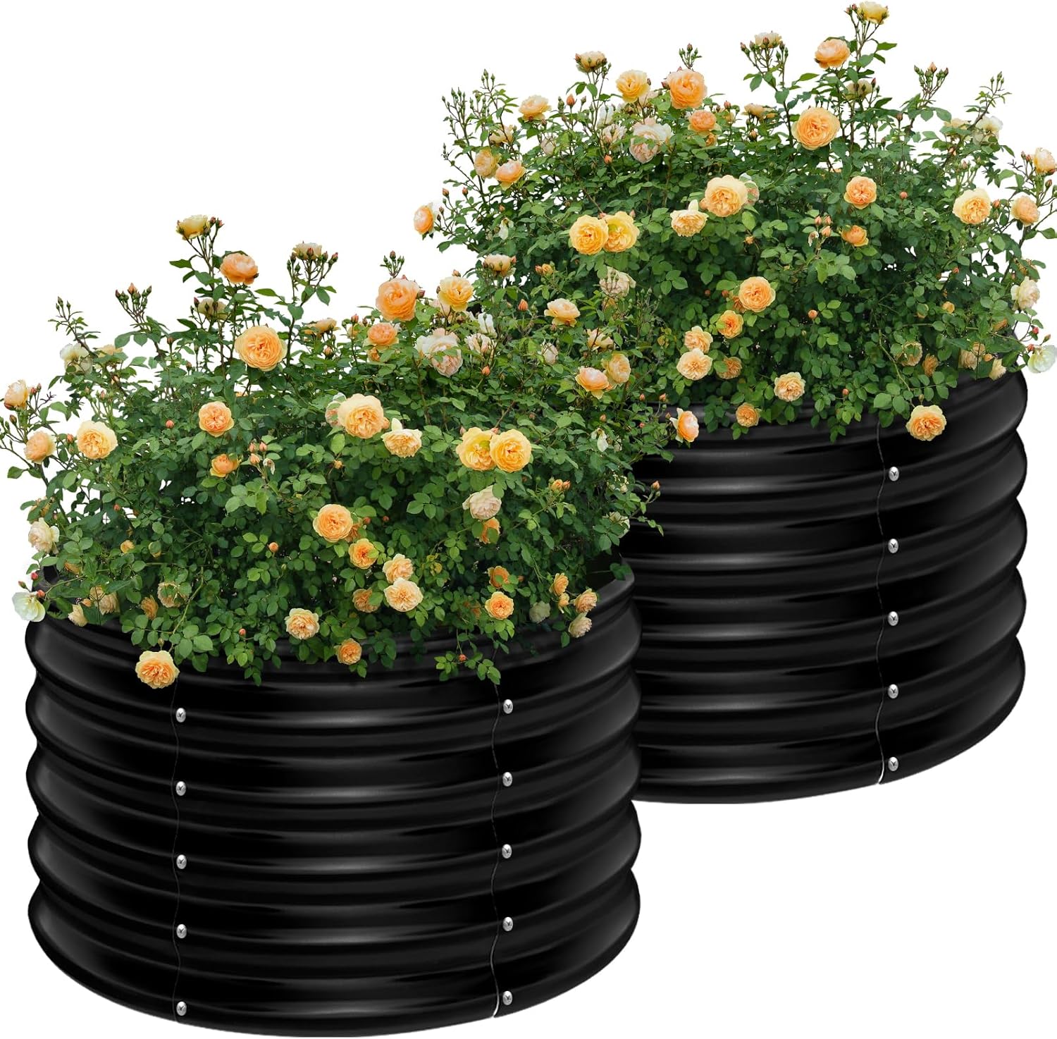 Planter Raised Metal - 2'li Paket 2x2x1.5ft Yuvarlak Galvanizli Yükseltilmiş