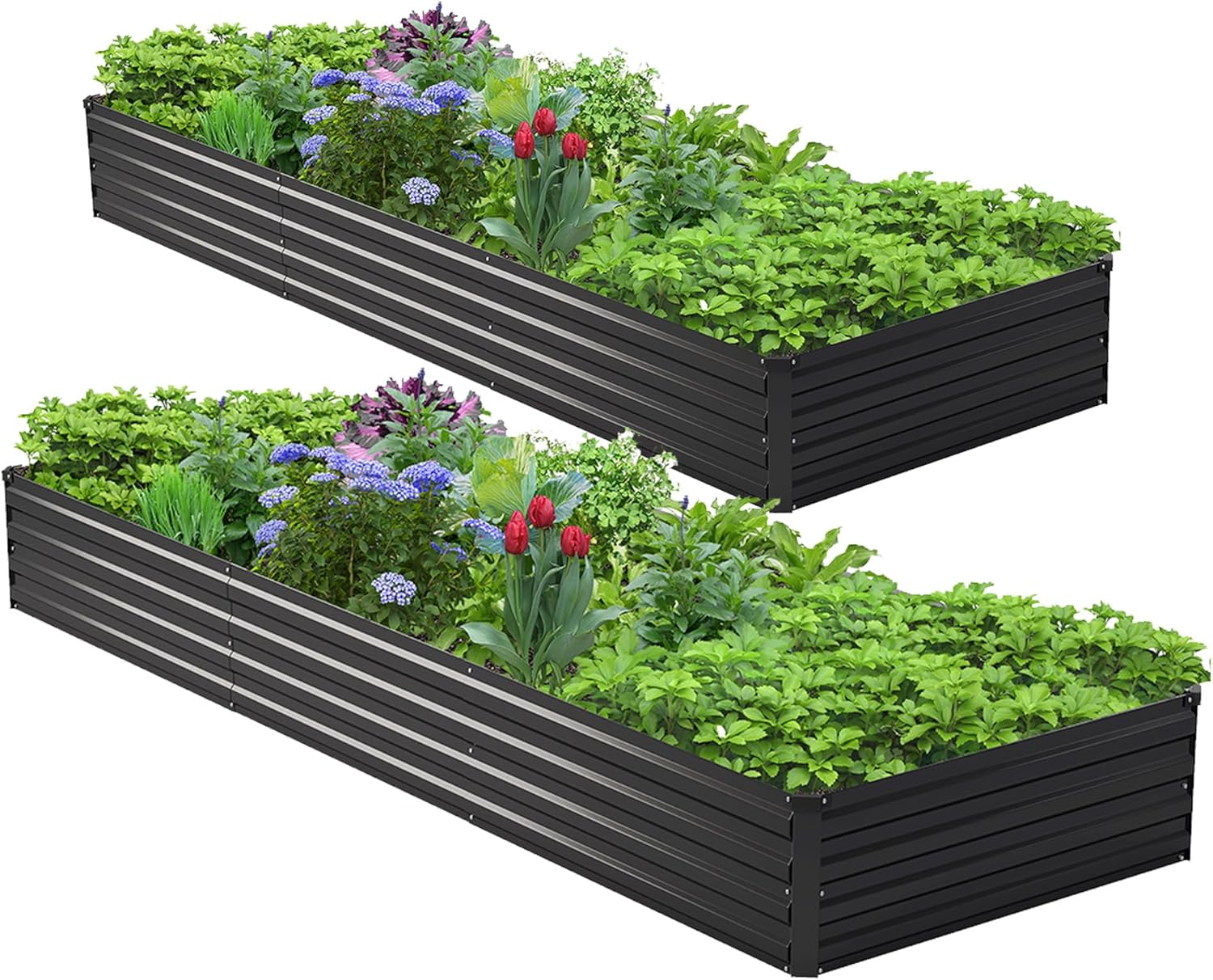 2 ADET 10x3x1ft Galvanizli Yük - Planter Raised Metal incelemesi ve fiyatı